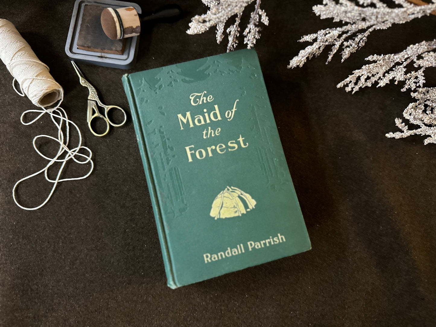 Beautiful Vintage Book