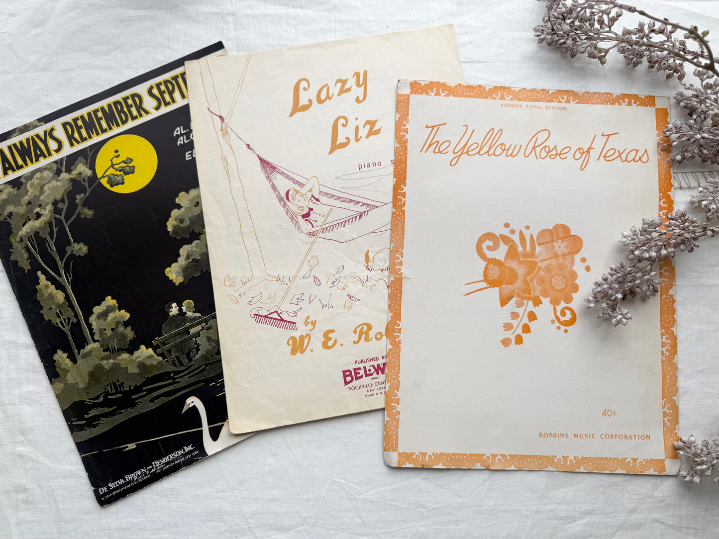 Vintage Music Set