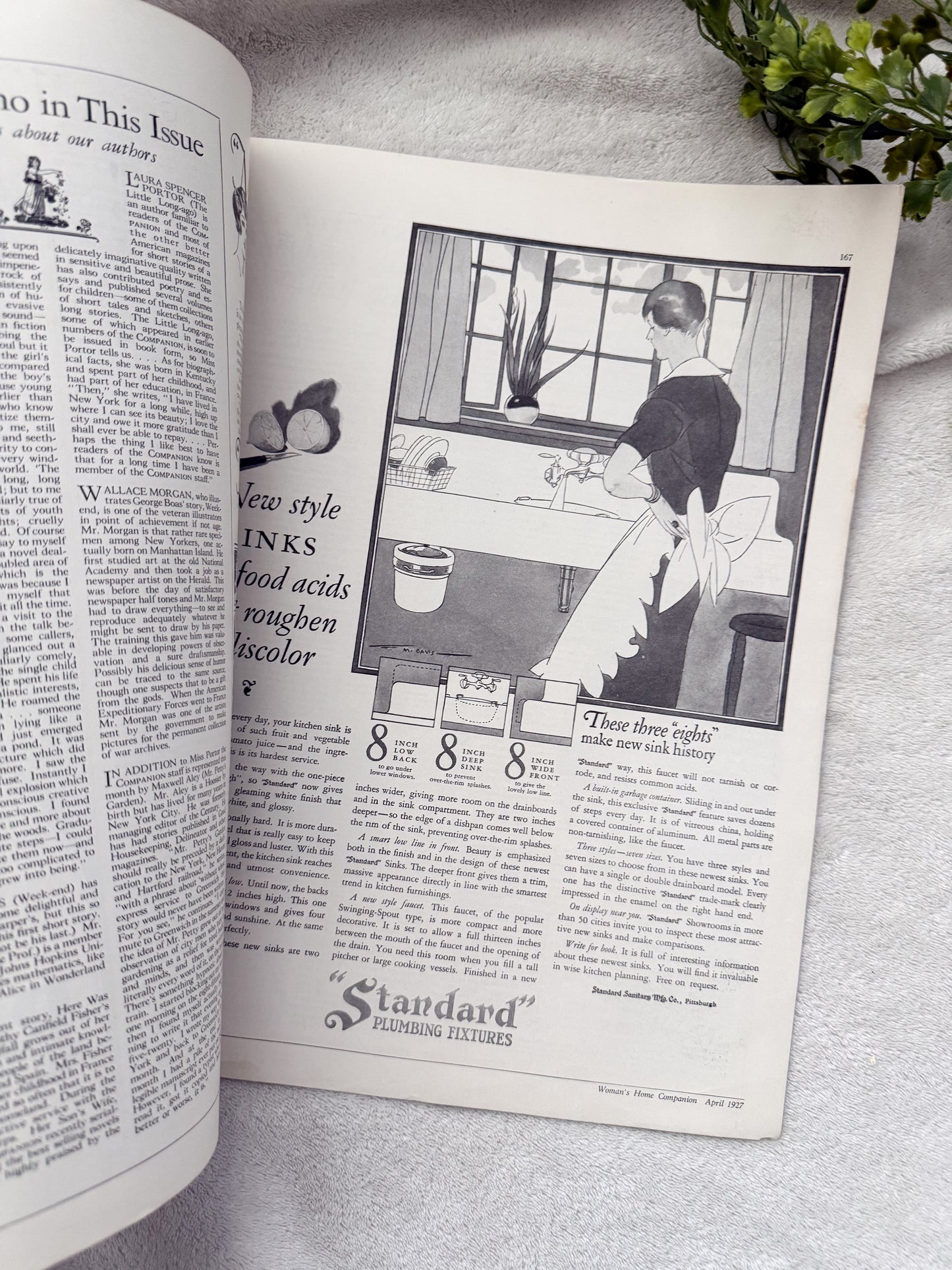 Vintage Woman's Home Companion Magazine