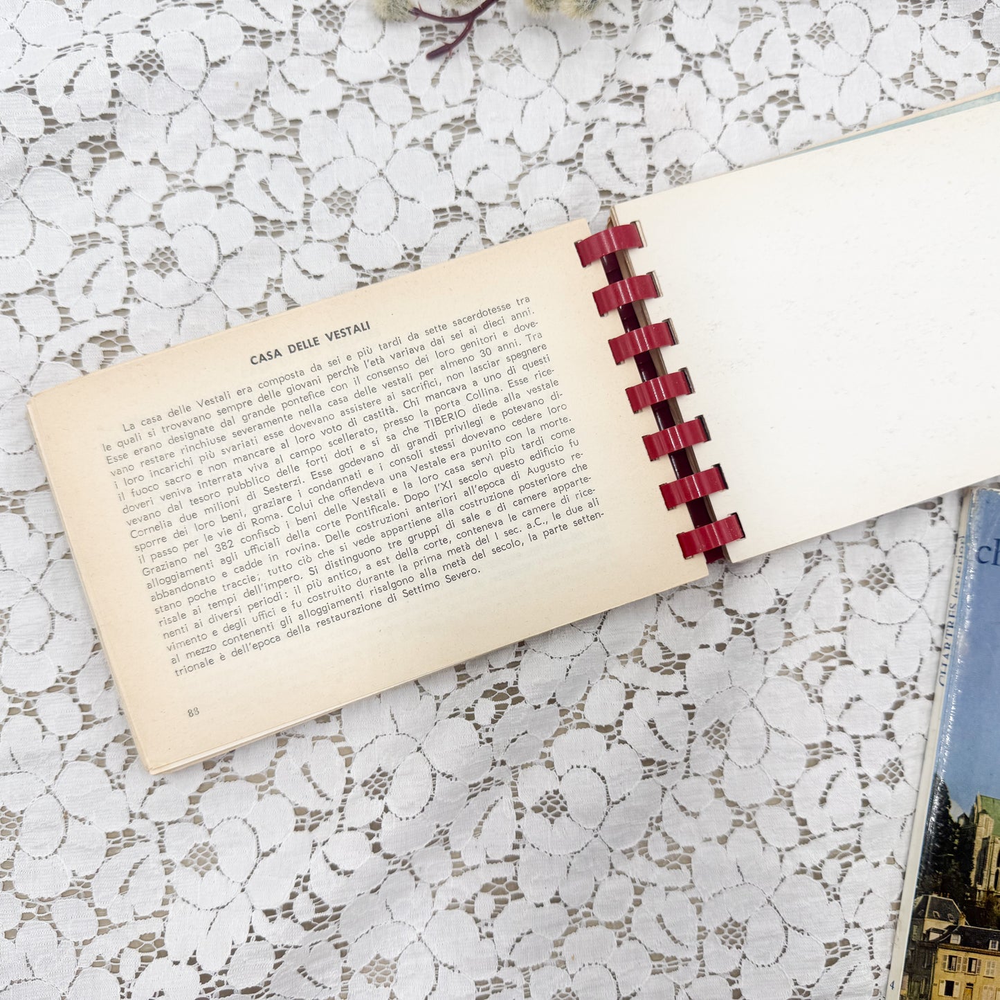 Vintage Postcards and Book