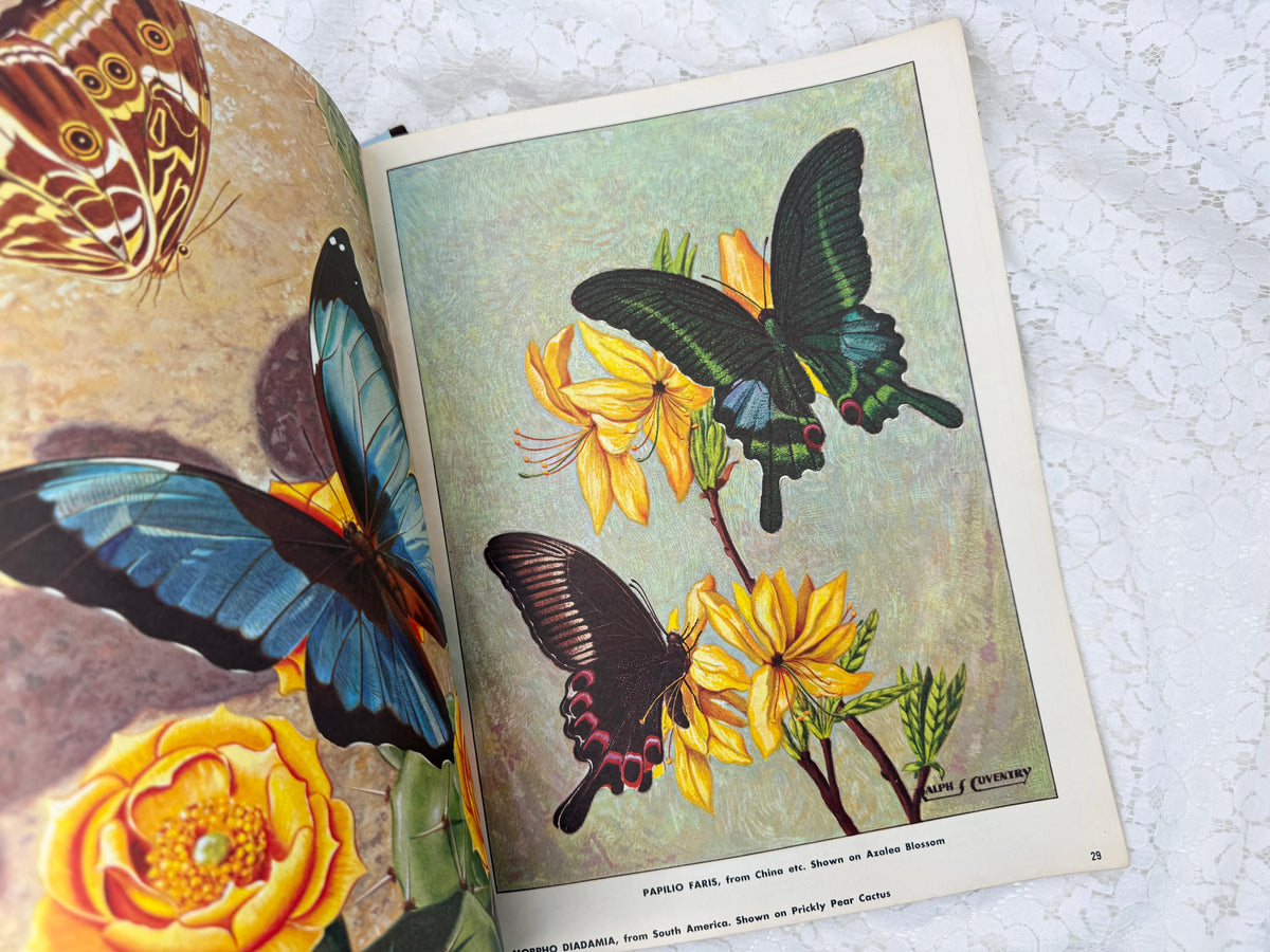 Vintage Art Book Set
