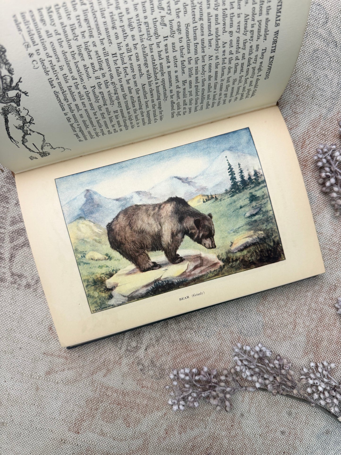 The Nature Library- Animals