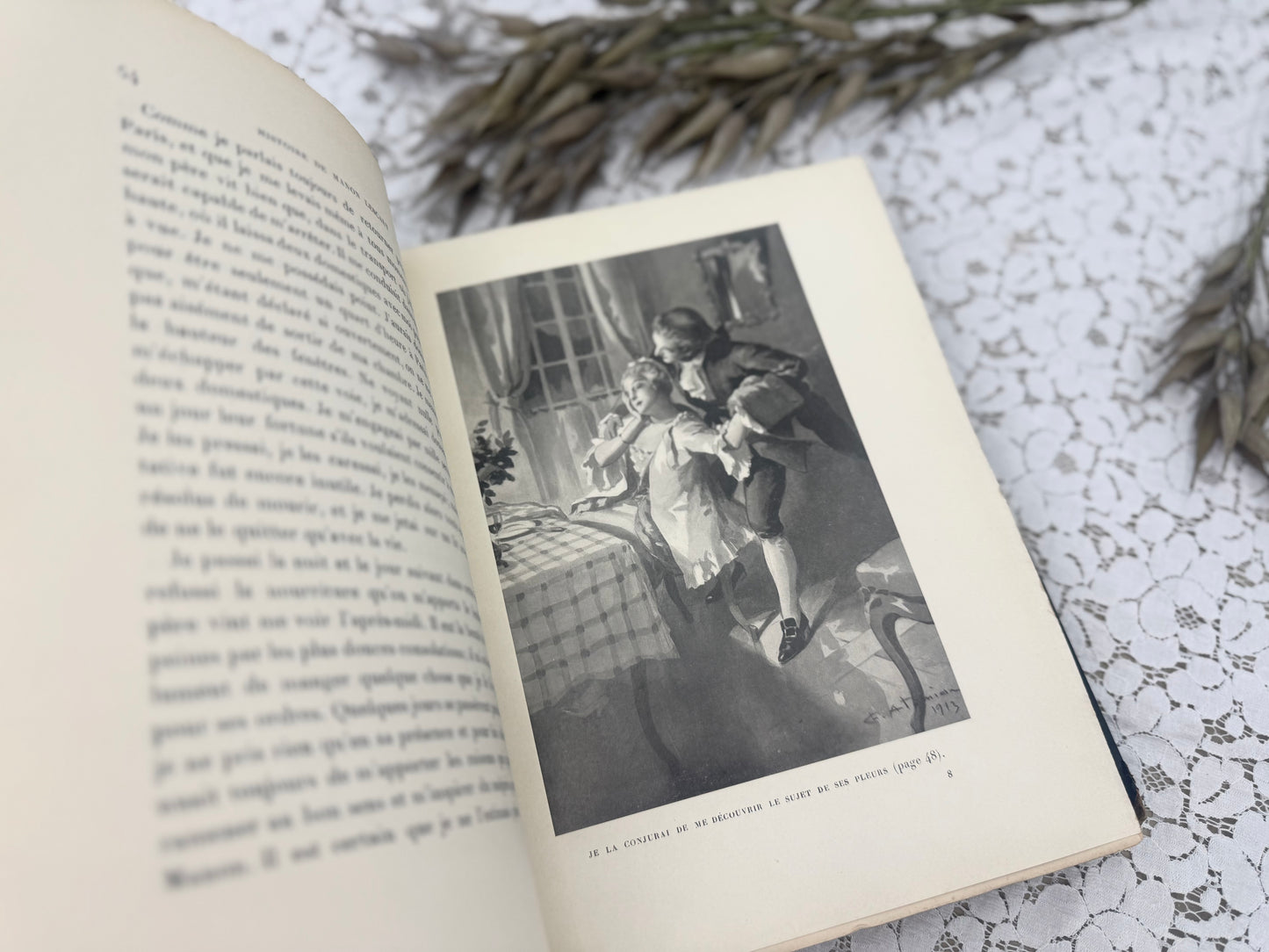 Vintage Book with Illustrations