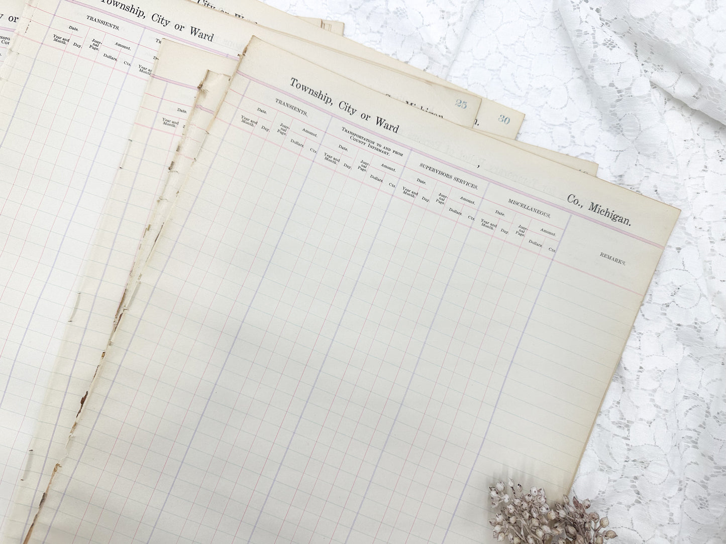 Vintage Ledger Township Page Pack (Set of 5)