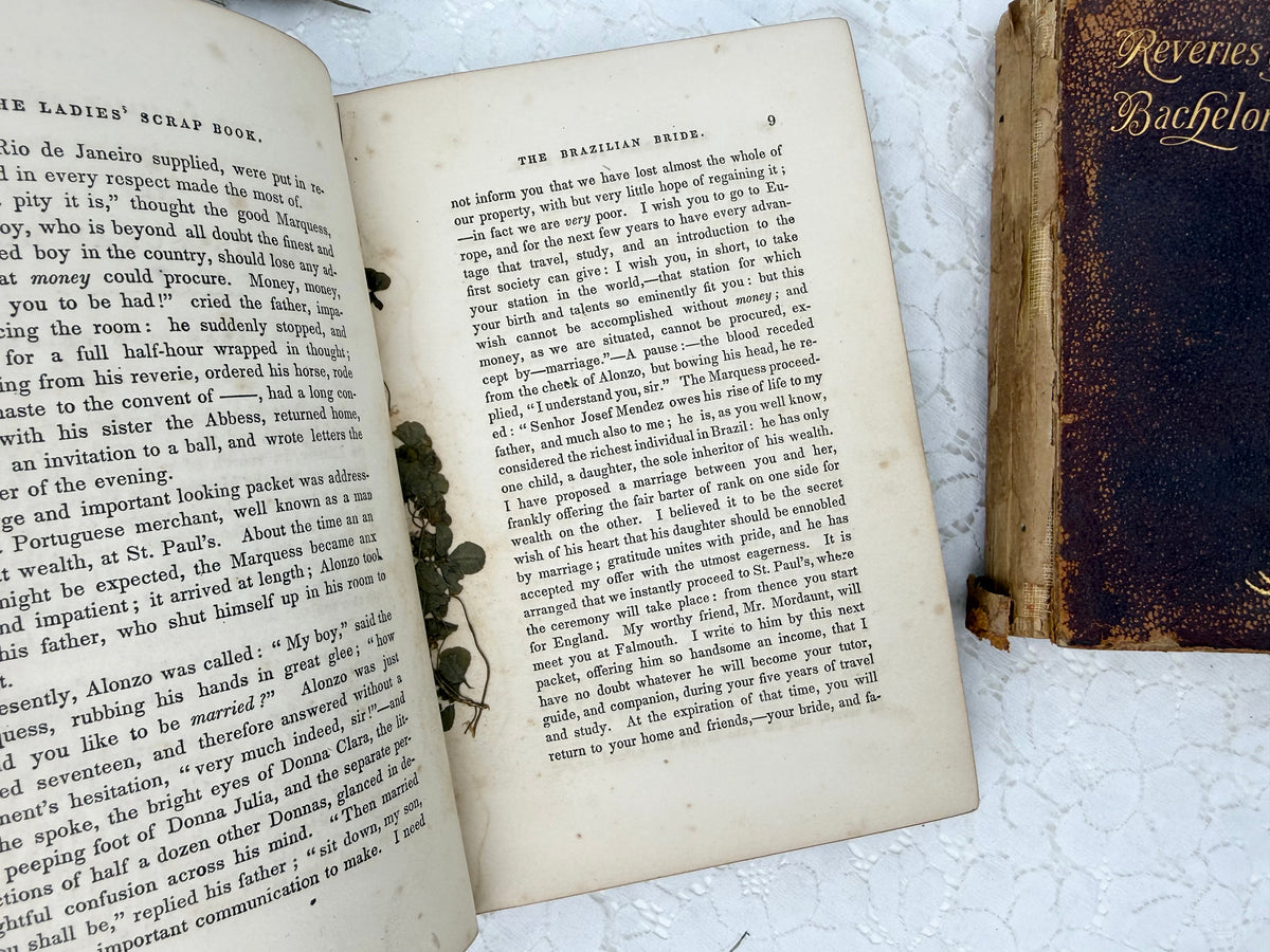 Vintage Book Set