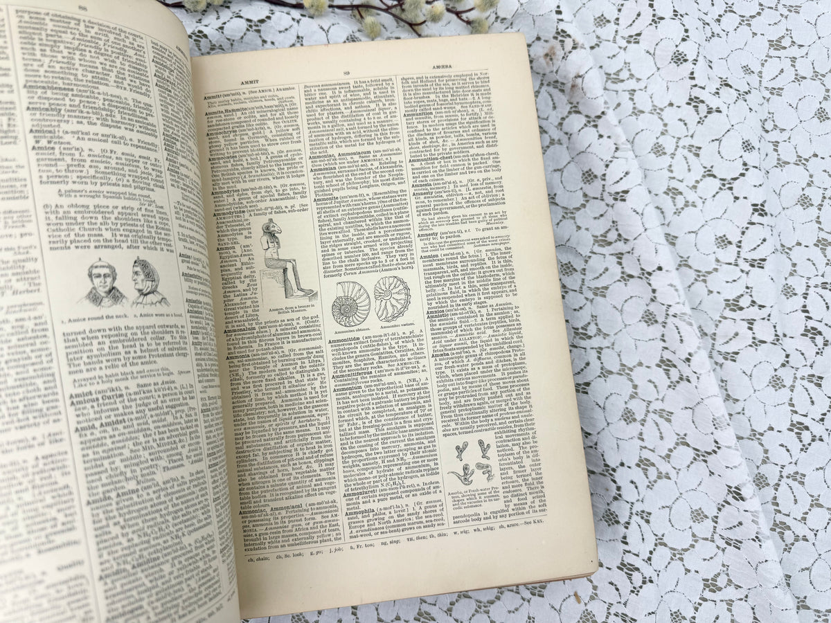 Imperial Dictionary- Illustrated