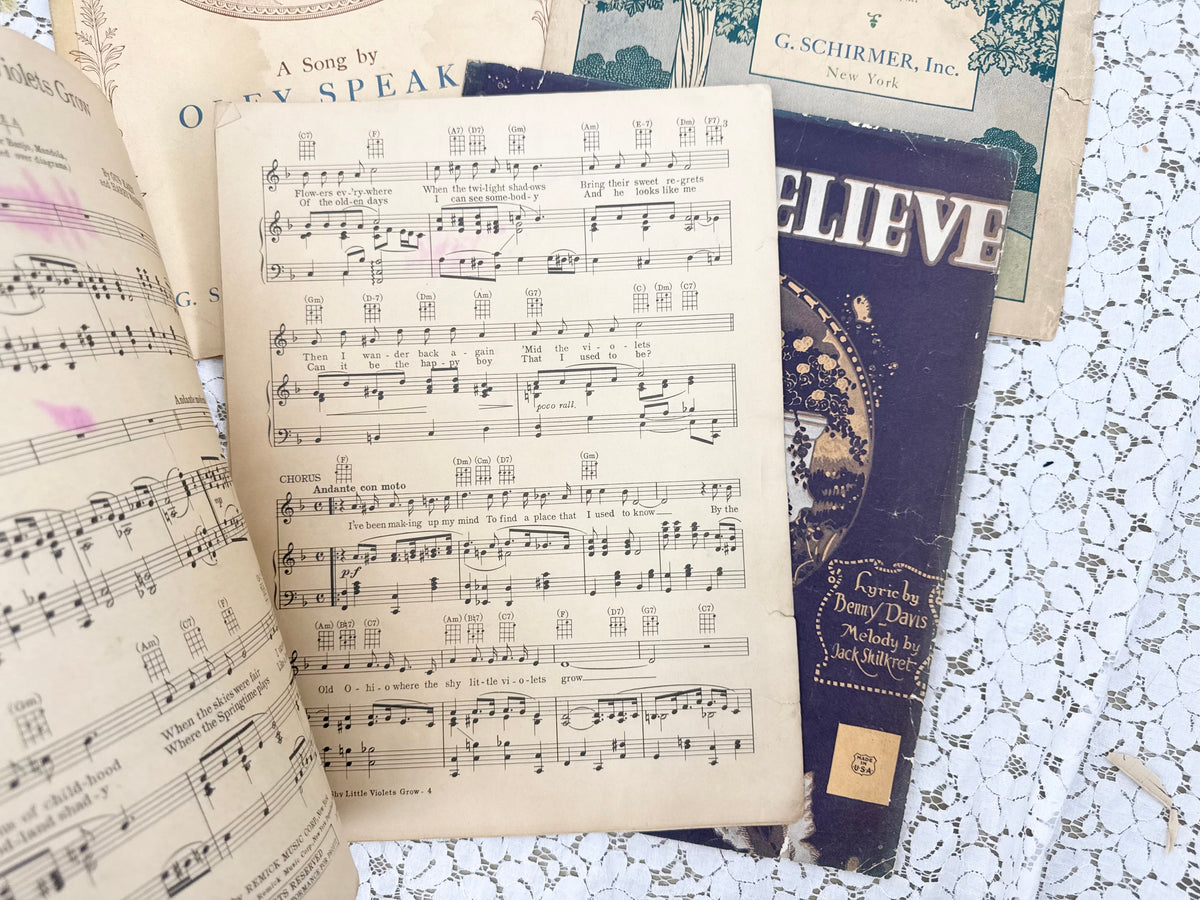 Vintage Music Set