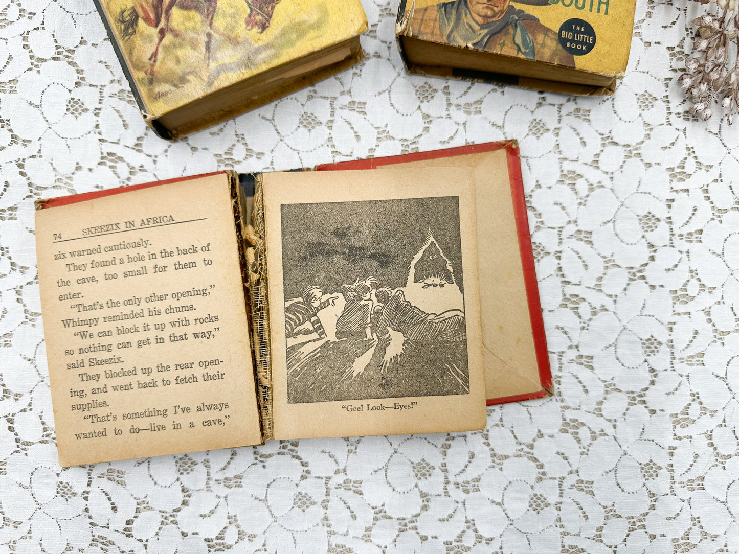 Set of Little Big Books