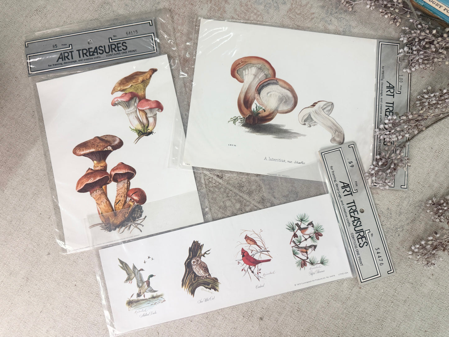 Vintage Print Set