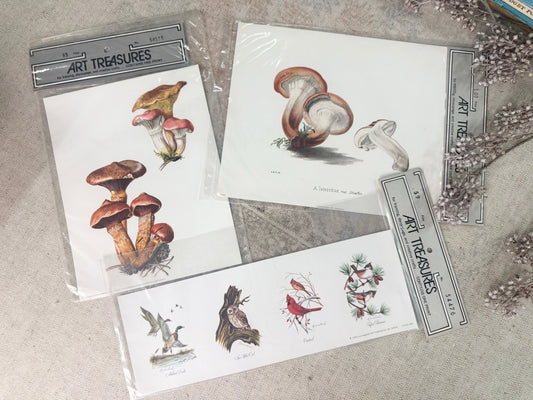 Vintage Print Set