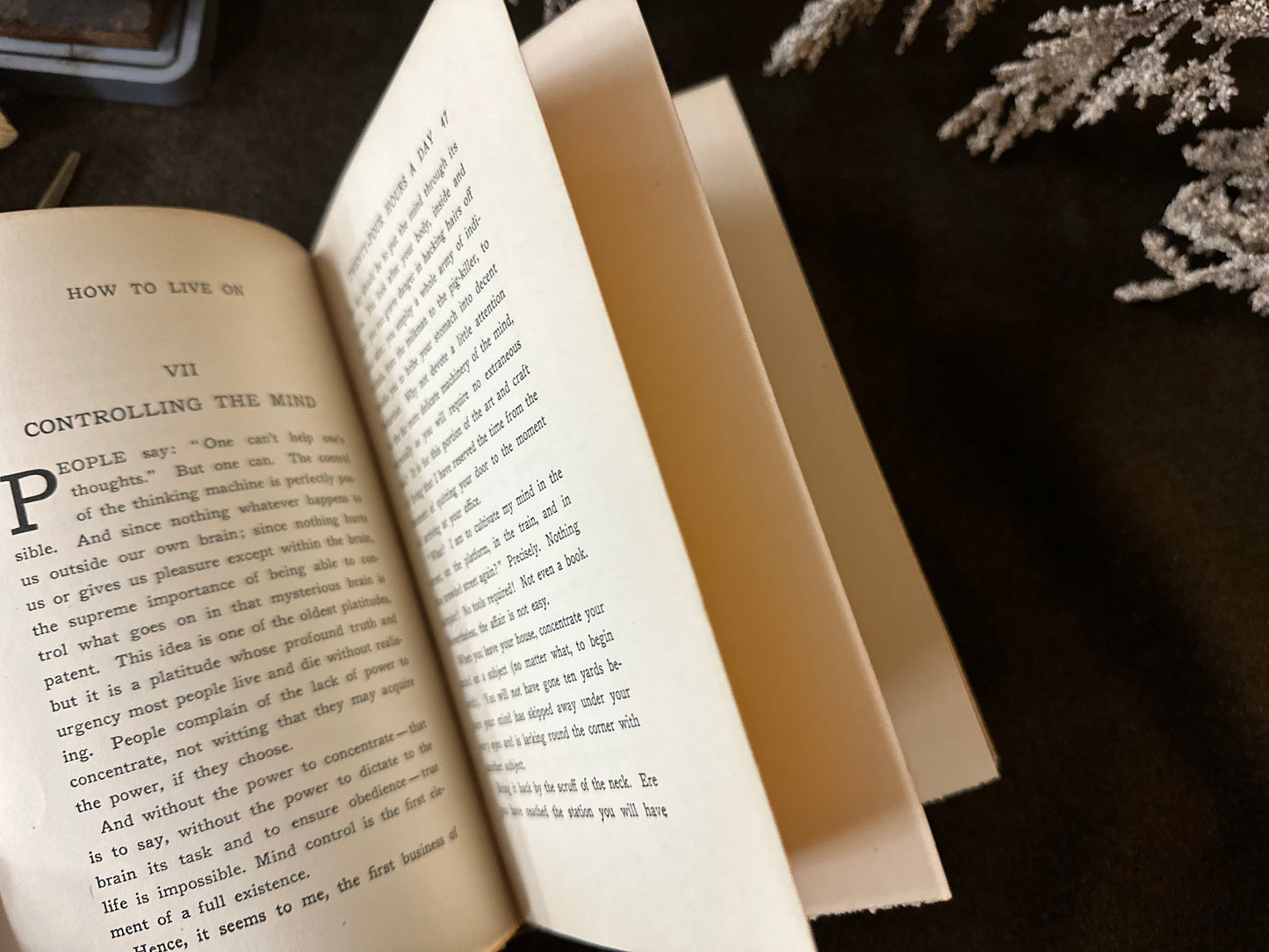 Beautiful Vintage Book