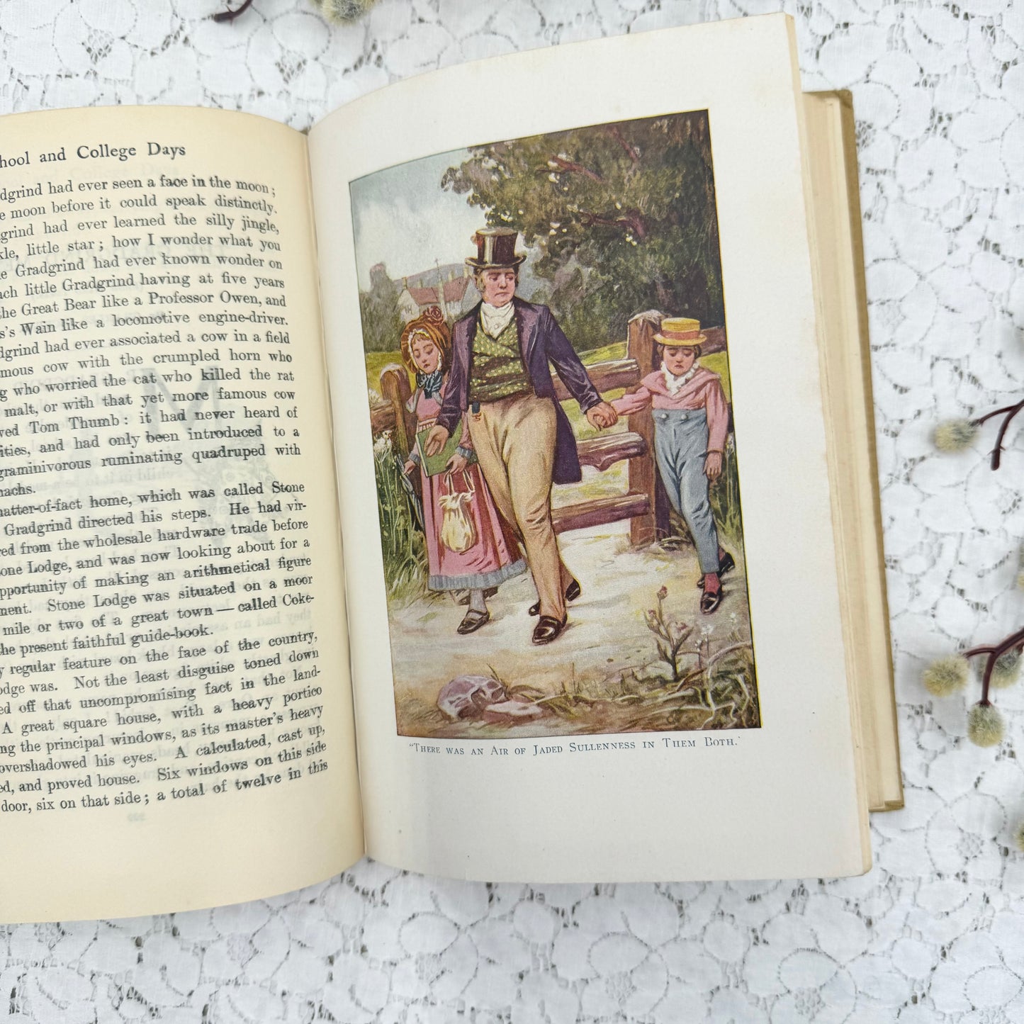 Vintage Illustrated Book