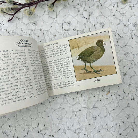 Bird Book