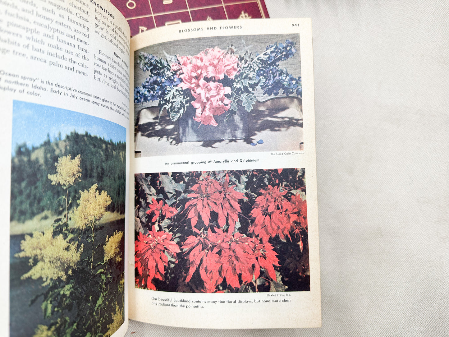 Full Color Encyclopedia