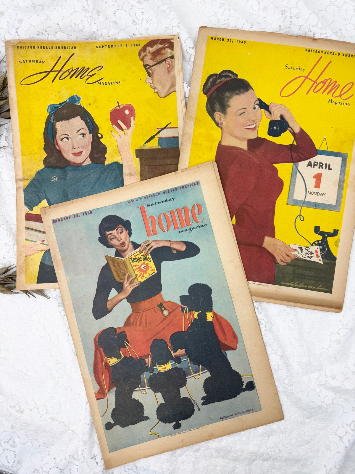 Home Magazine Set- Colorful Illustrations