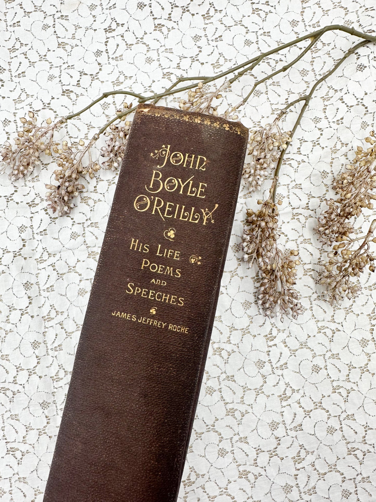 John Boyle O'Reilly- 1891