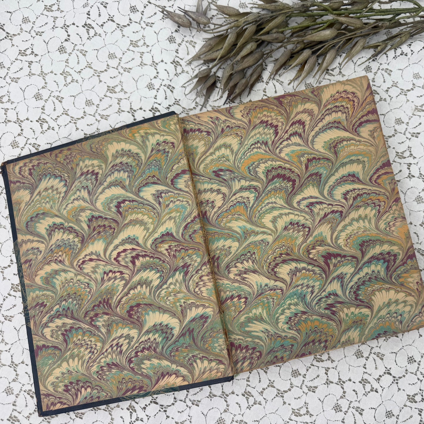 Vintage Book with Illustrations