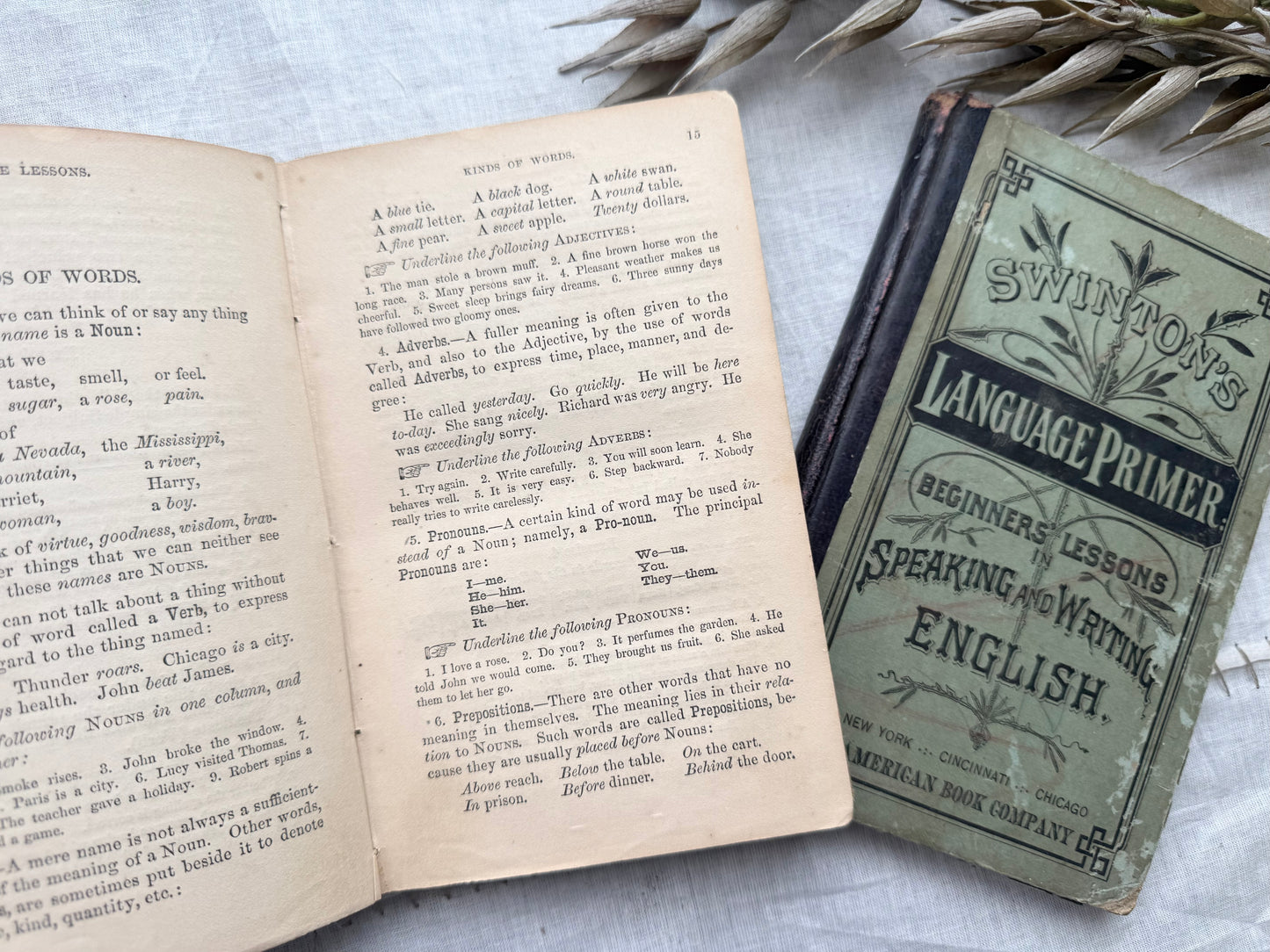 Vintage Textbooks