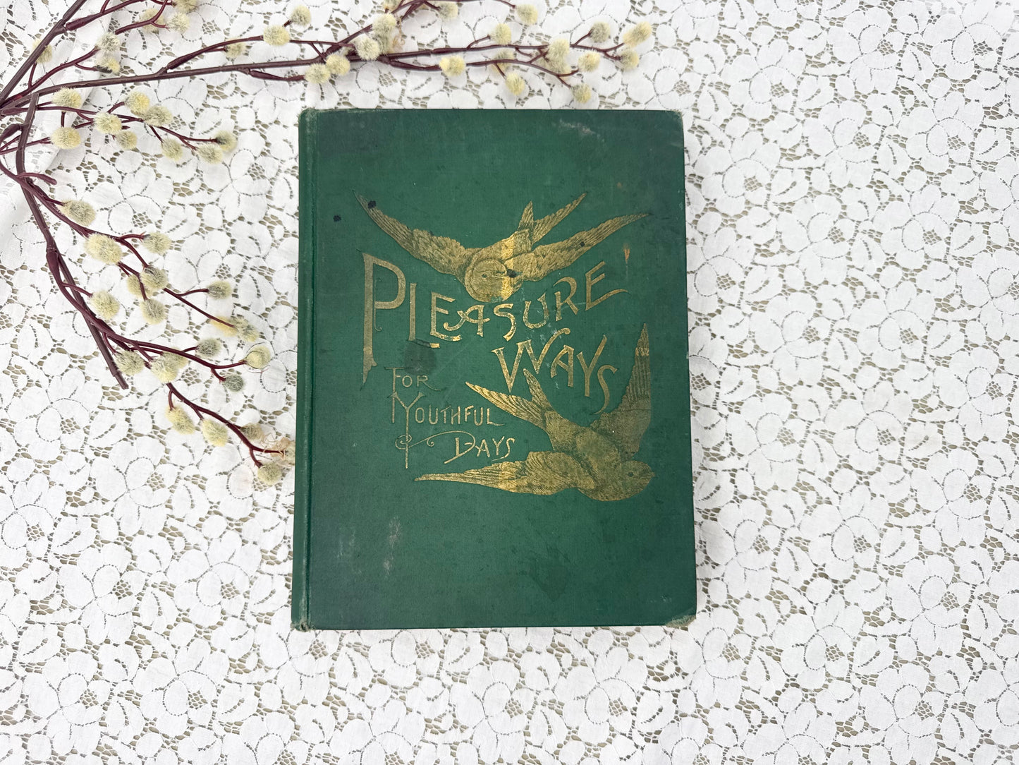 Illustrated Book