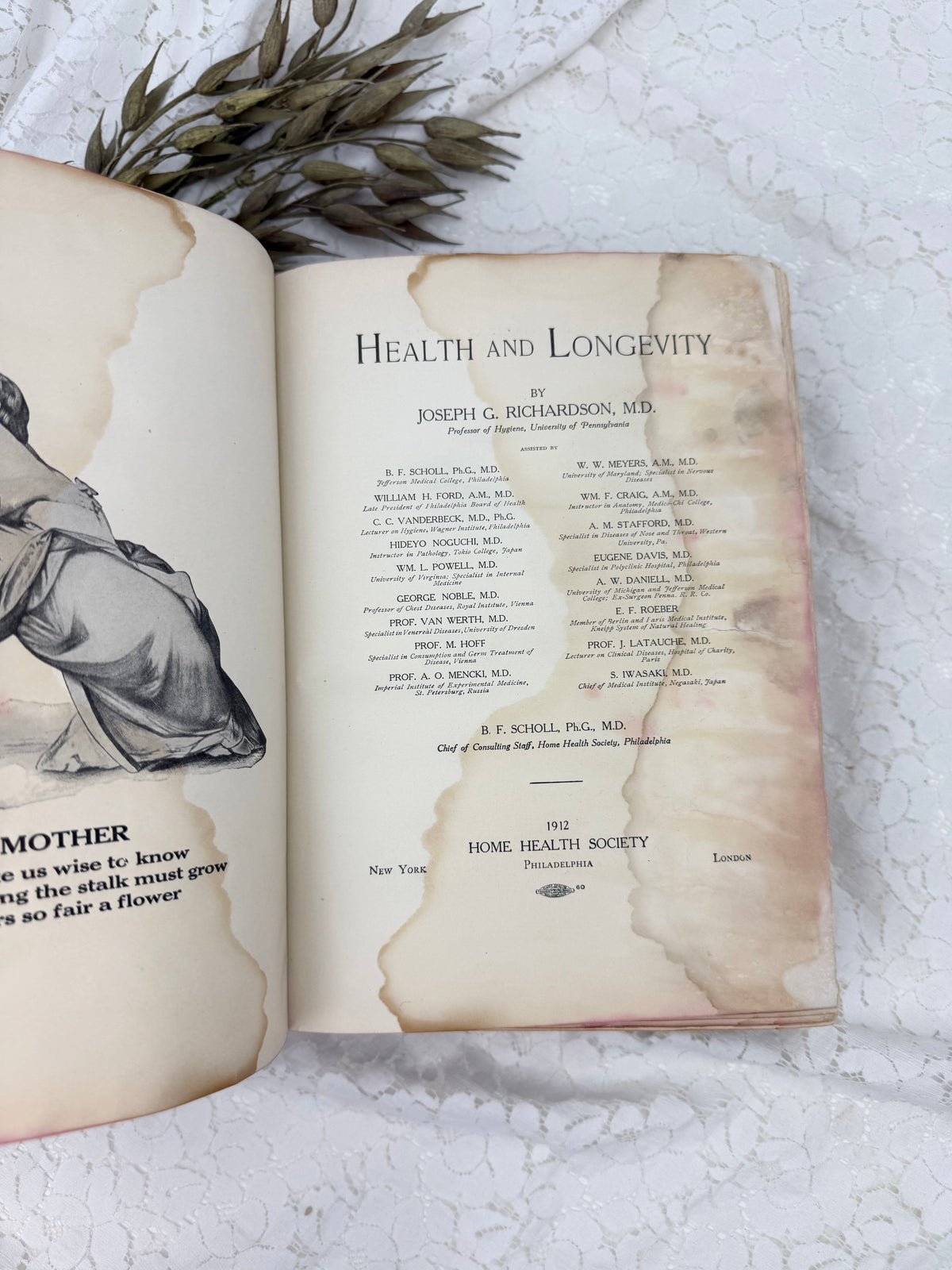 Vintage Health and Longevity Book