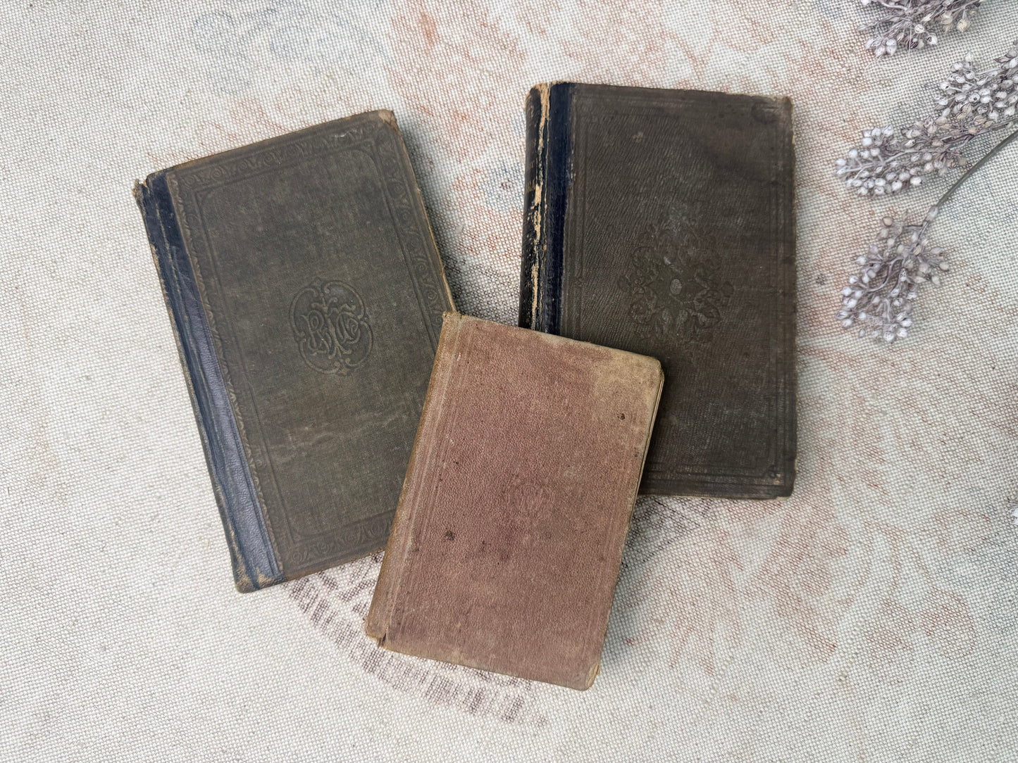 Vintage Textbook Set