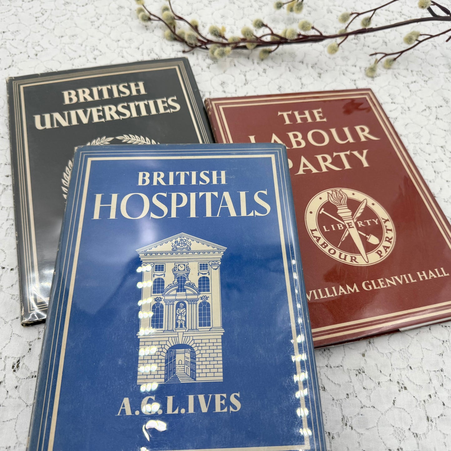 Illustrated Book Set