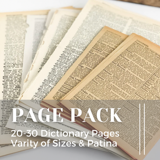 Dictionary Pages (Set of 20)