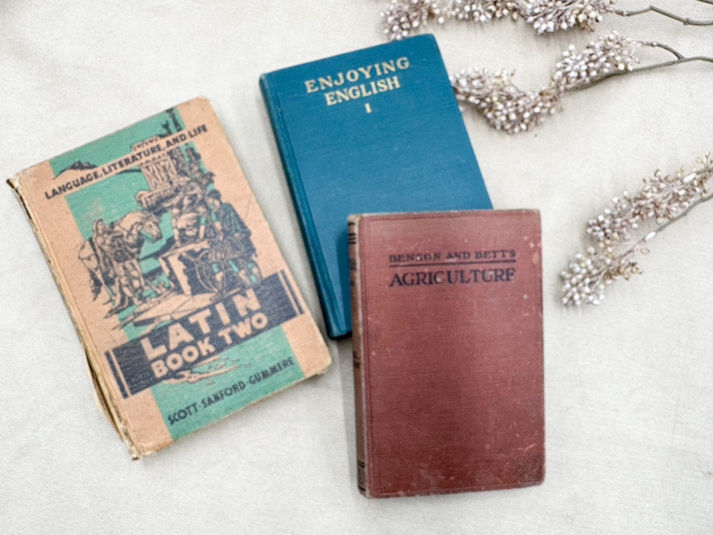 Set of Three Vintage Textbooks