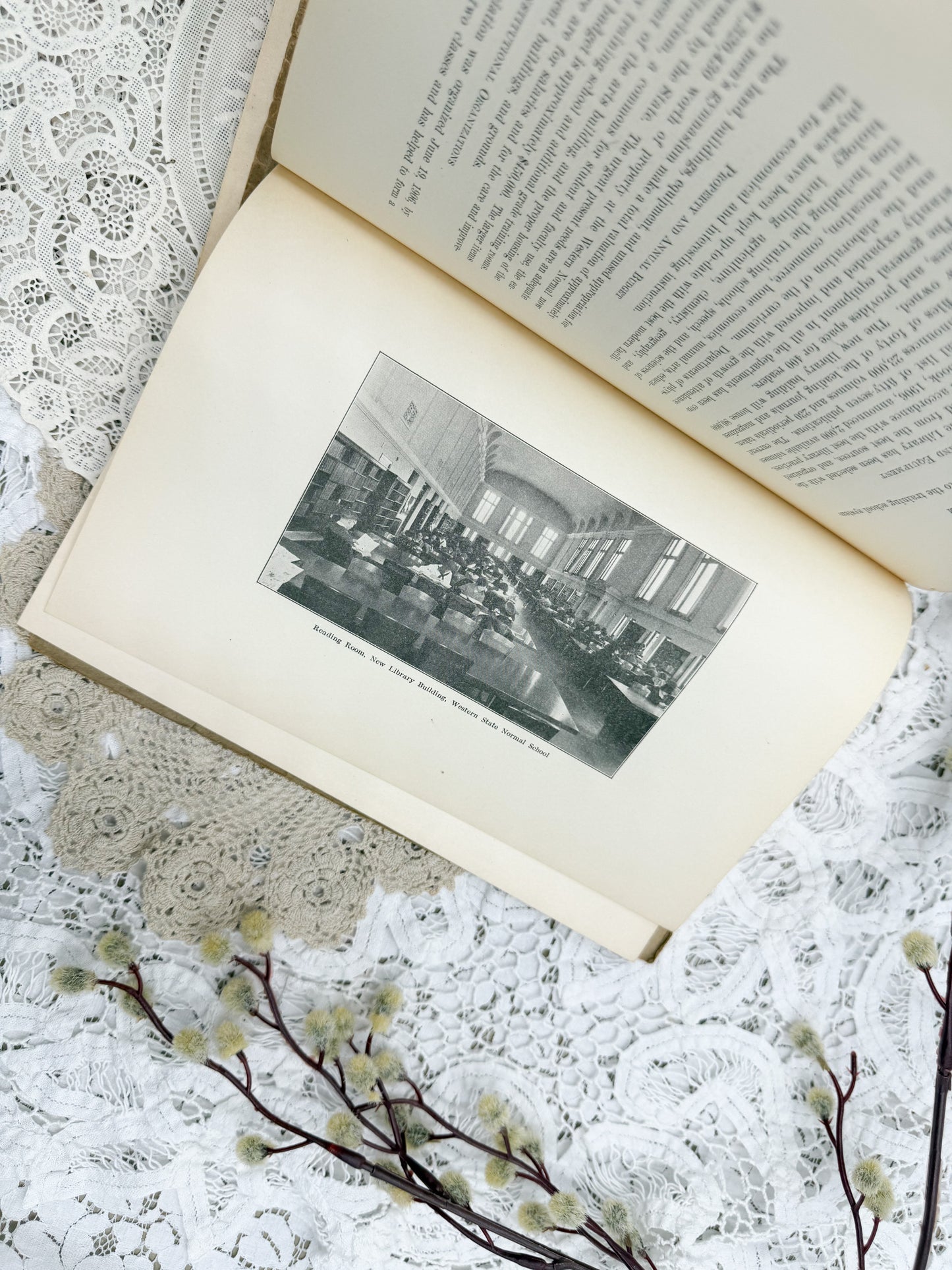 Michigan History Books