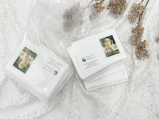 Scarecrow Greeting Cards