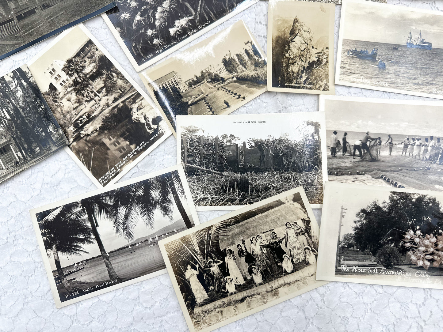 Set of Vintage Postcards and Photos