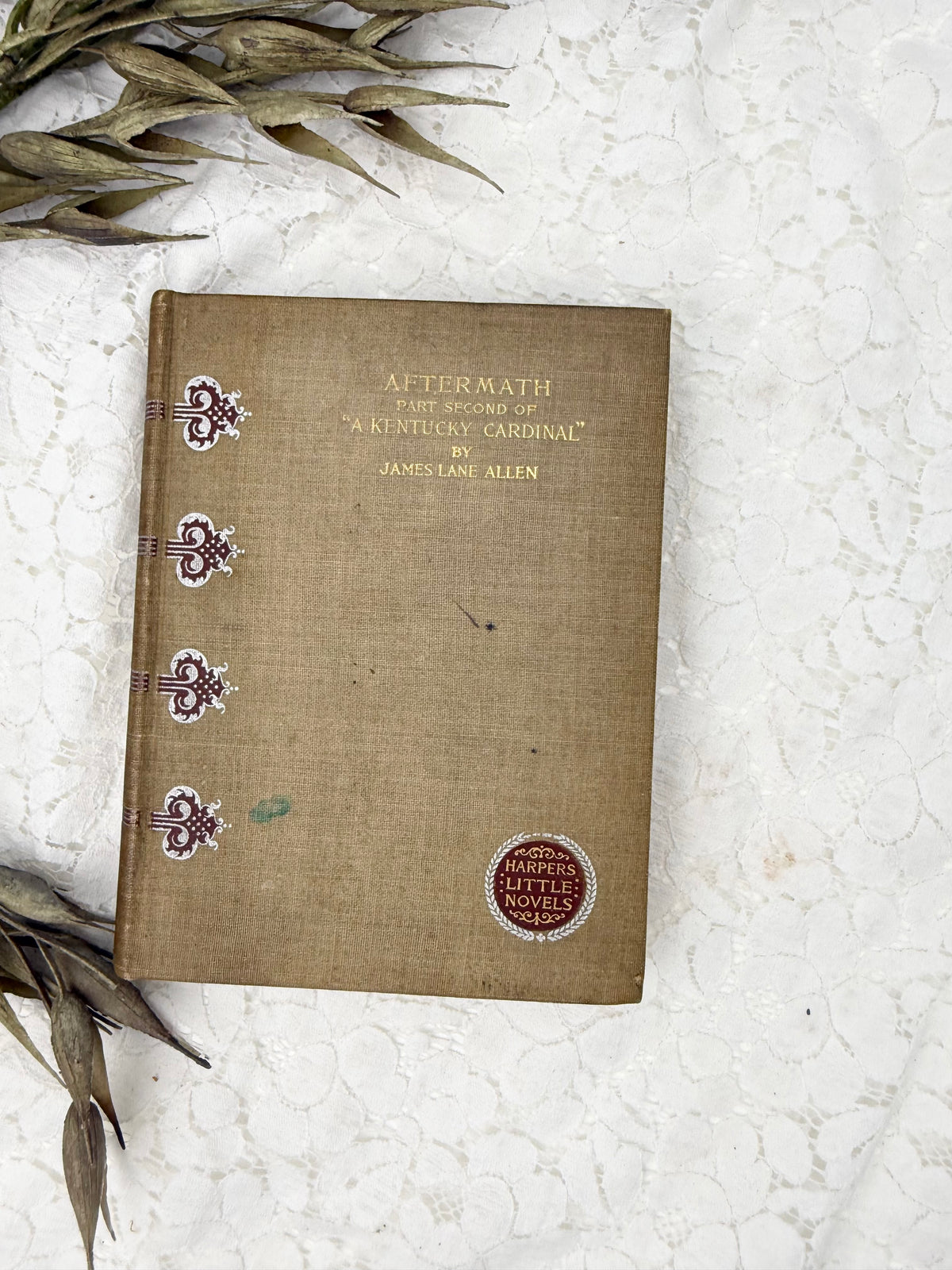 Aftermath Book