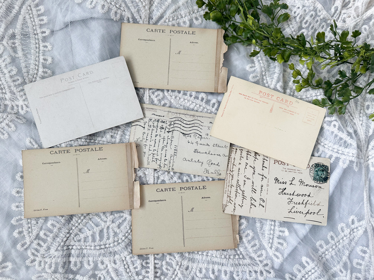 Vintage Postcard Set