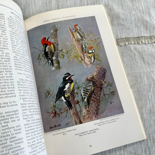 April 1933 National Geographic Magazine