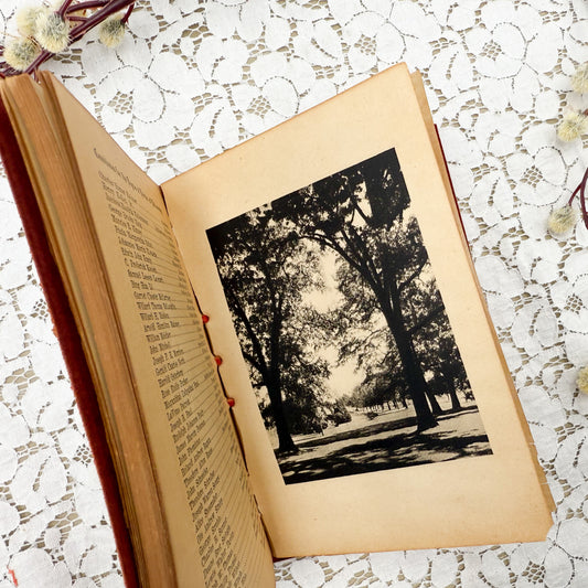 Vintage Pocket Book