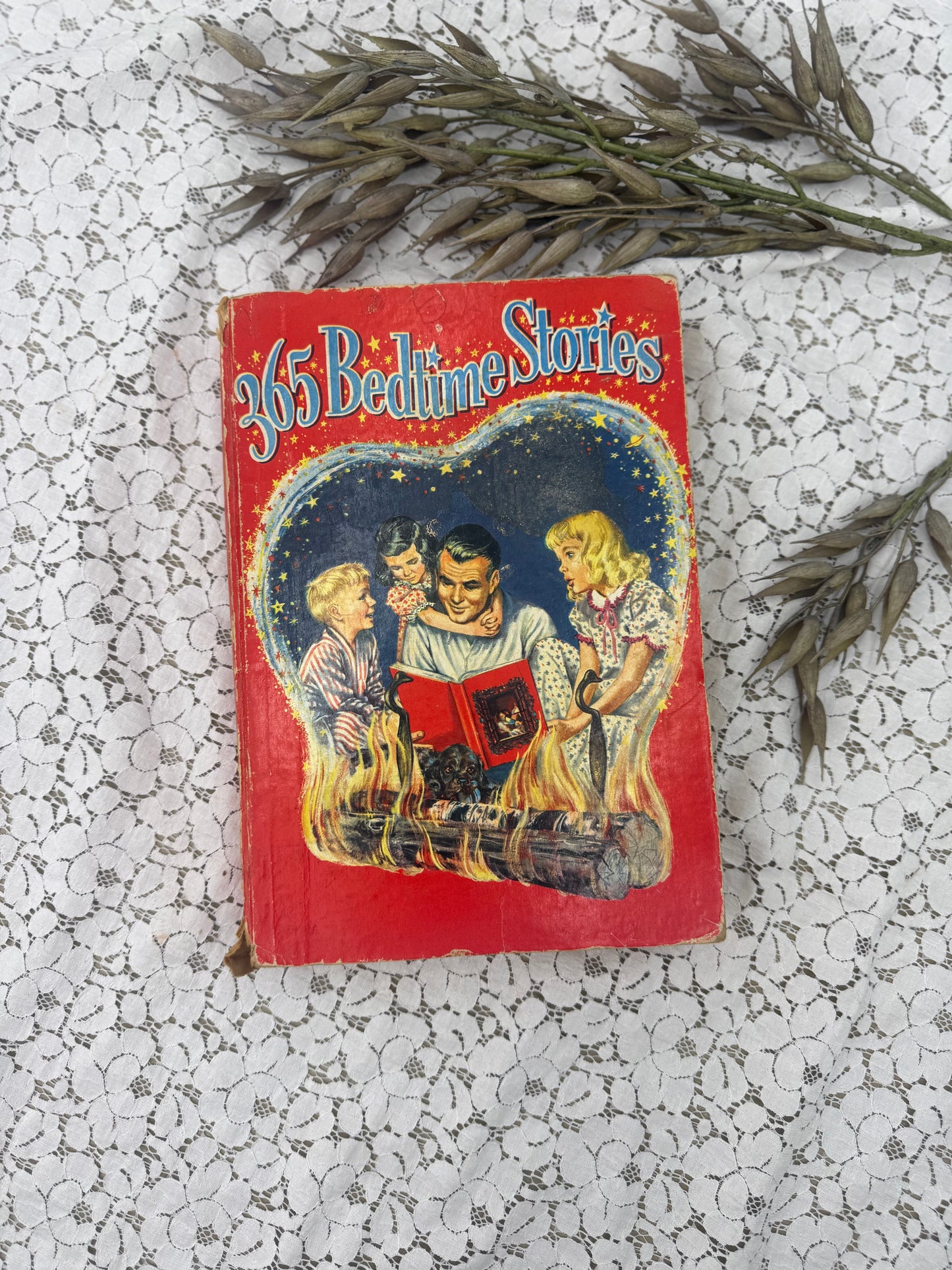 Vintage Story Book