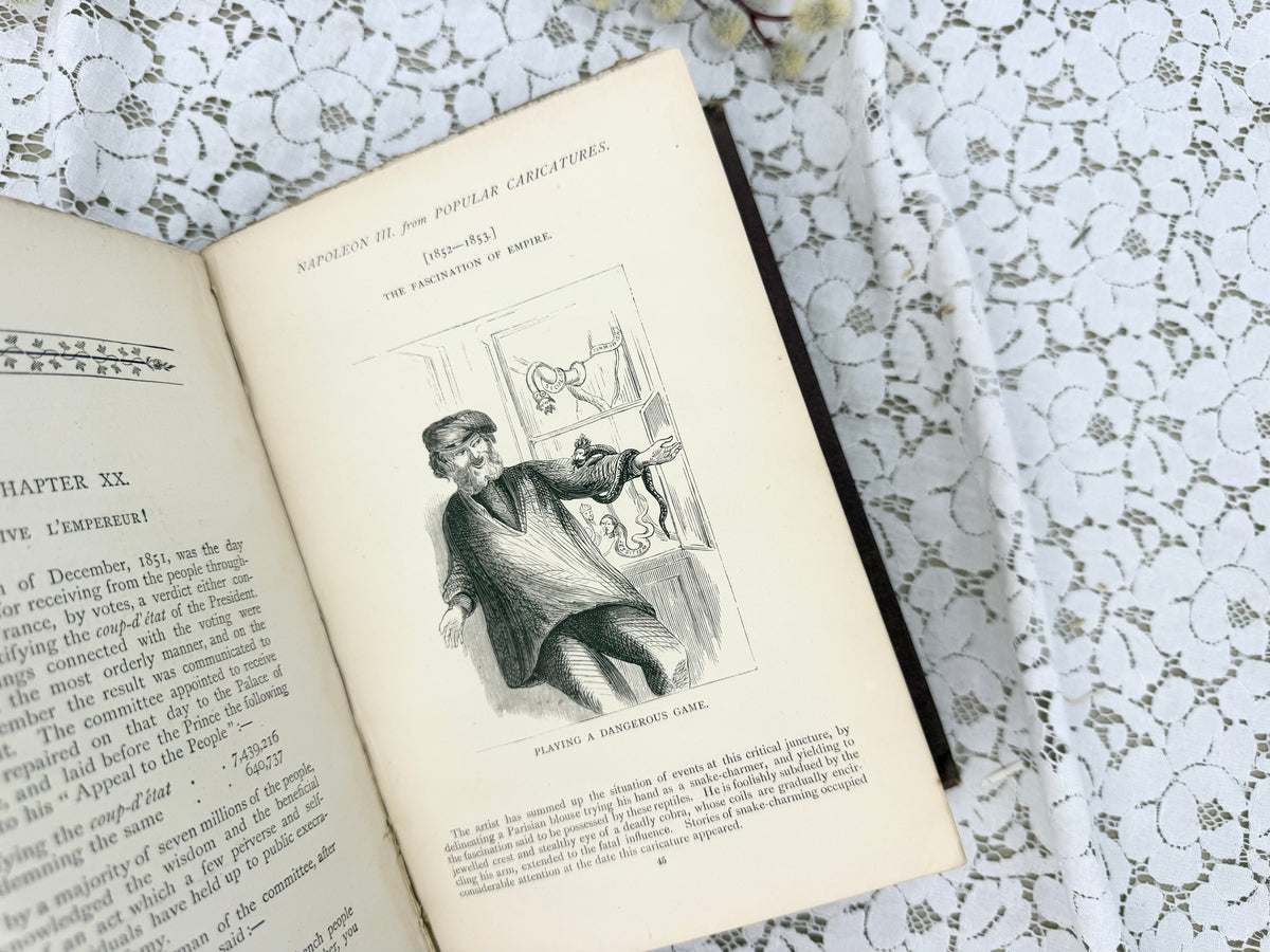 Popular Caricature Book