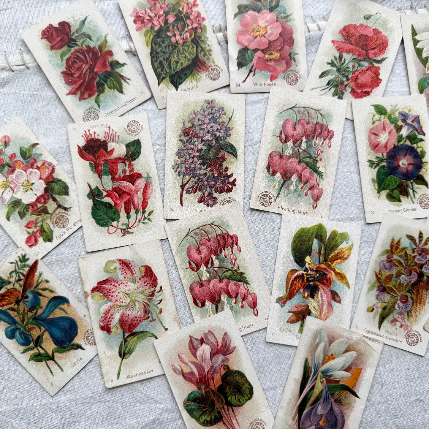 Vintage Floral Trading Card Set