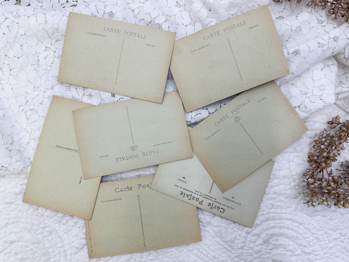 Vintage Postcard Set