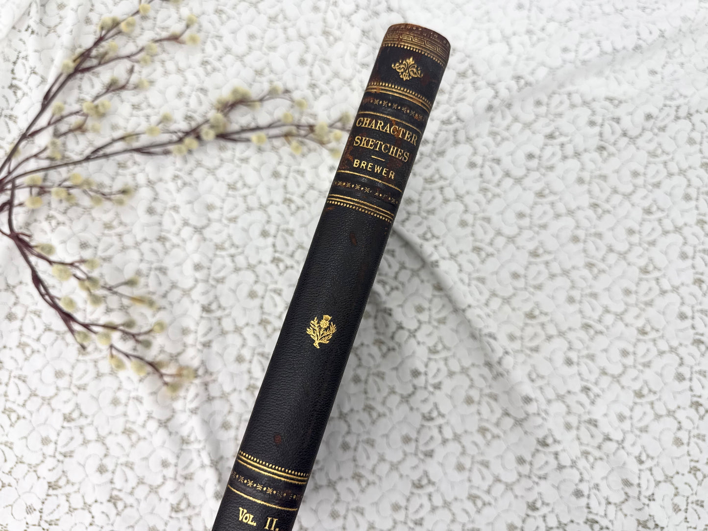 Illustrated Book (4 Different Volumes Available)