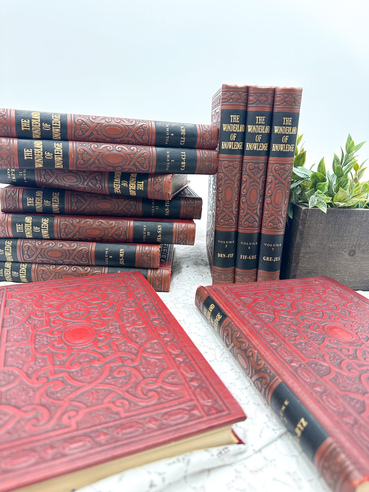 Embossed Book- The Wonderland of Knowledge (12 Available)