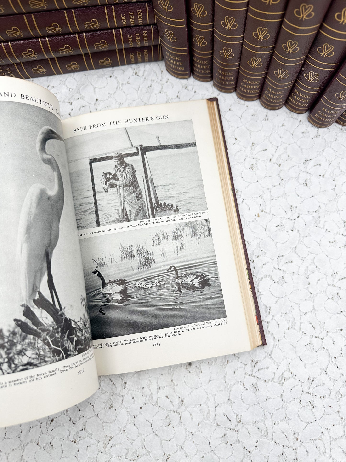 Illustrated Book of Knowledge (Price for One Book)