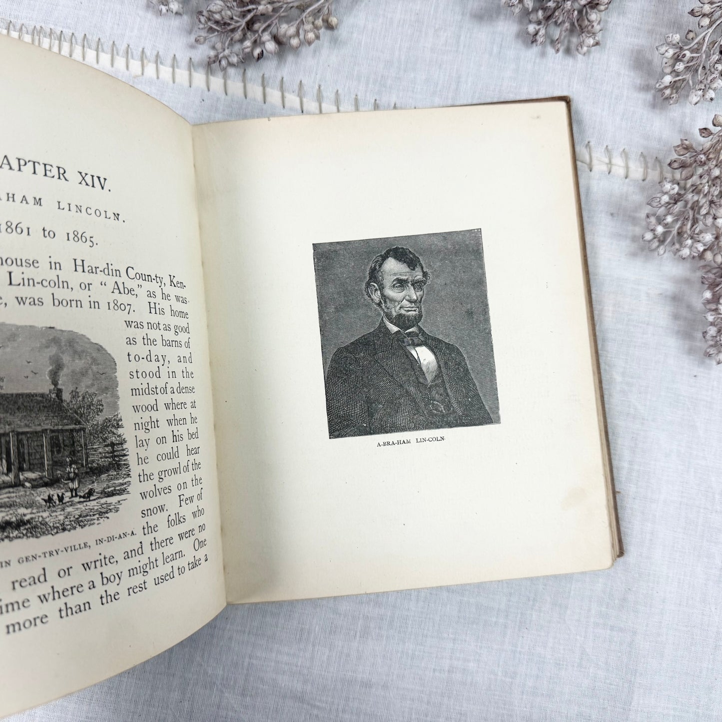 Lives of the Presidents