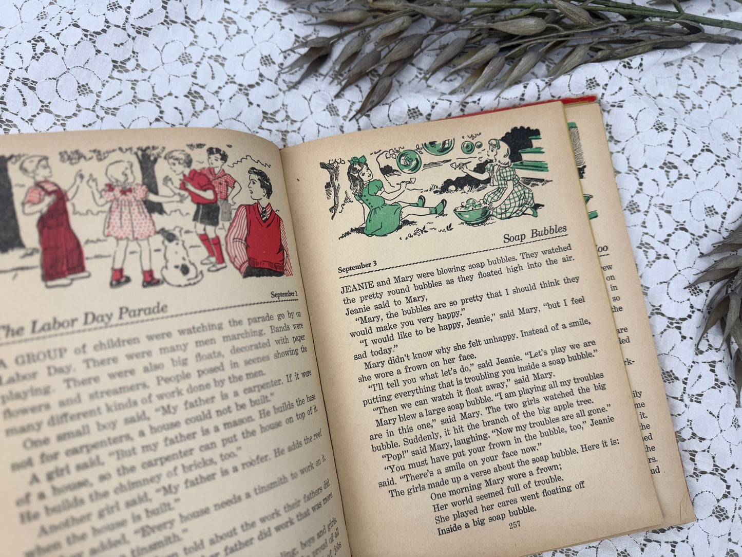 Vintage Story Book