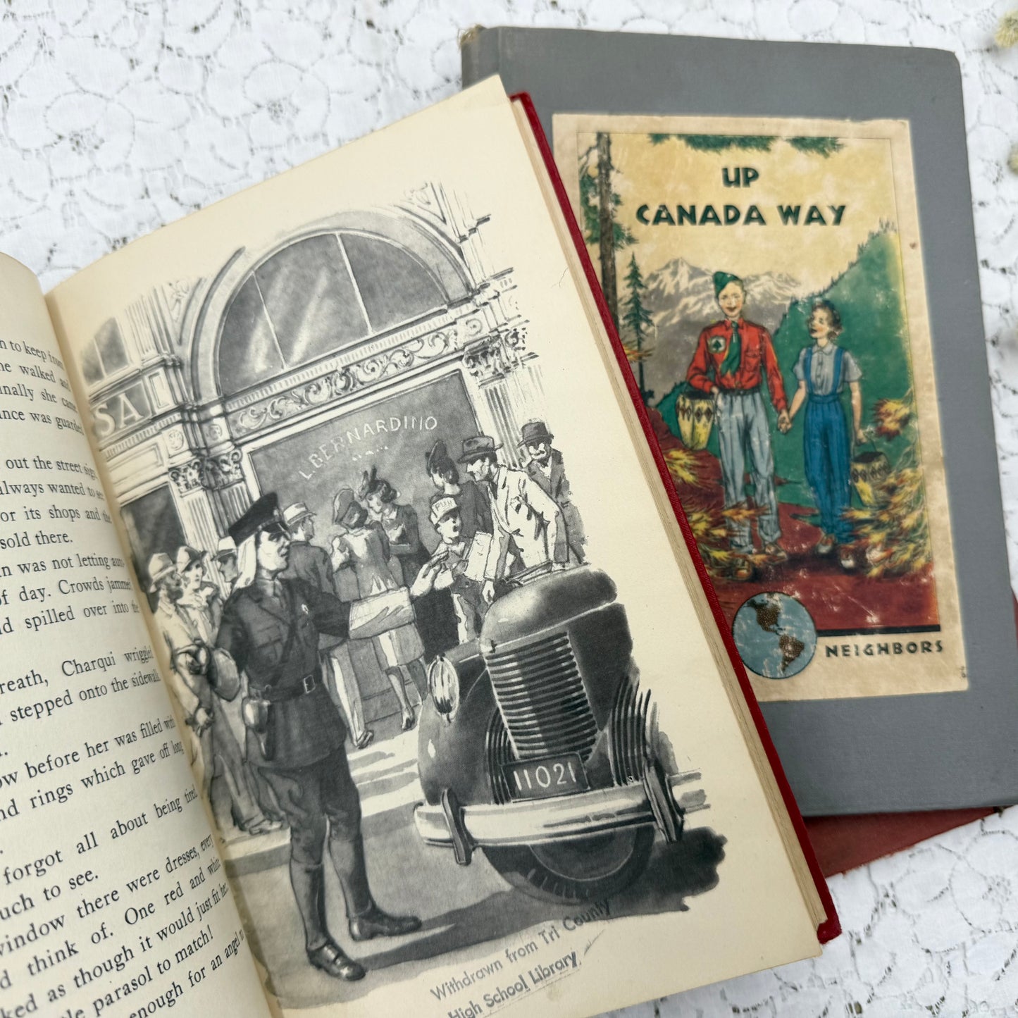 Vintage Book Set