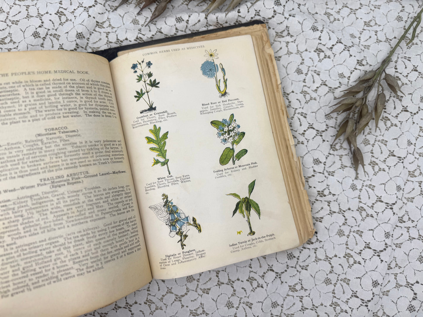 The Peoples Home Manual