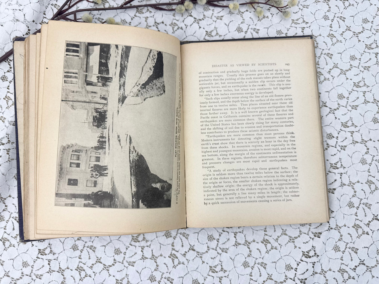 Vintage Book