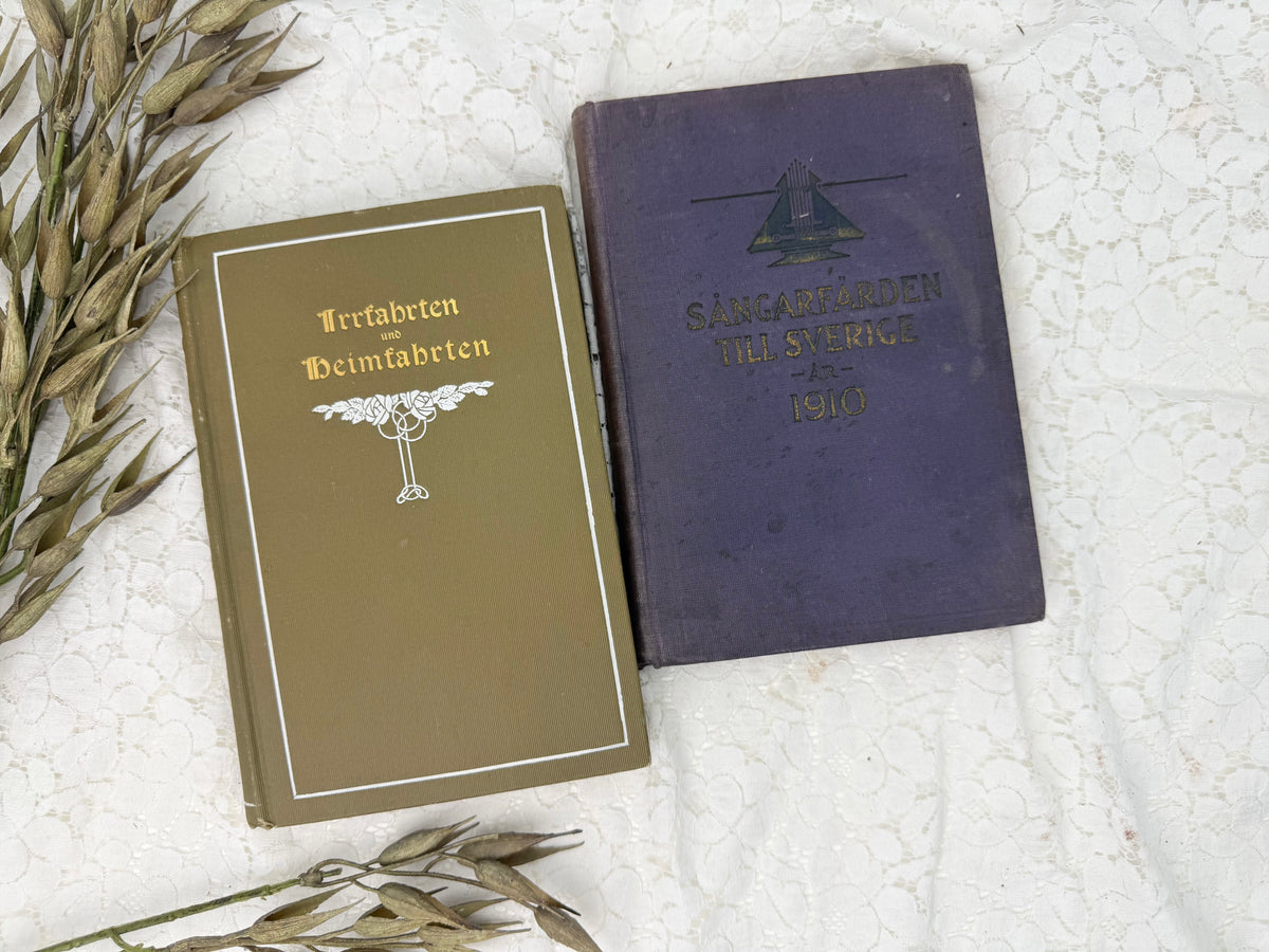 Foreign Language Book Set