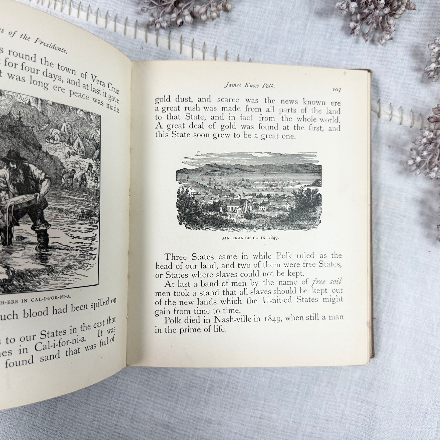 Lives of the Presidents