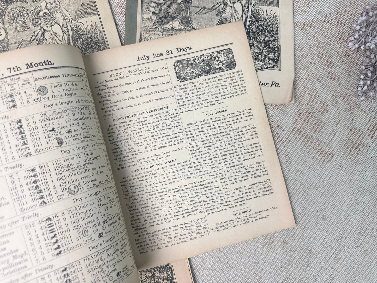 Vintage Almanac Set